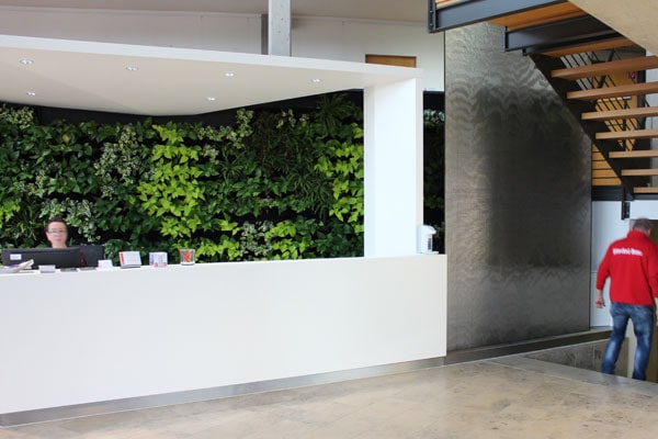 Grüne Bepflanzung an der Wand hinter der Zentrale
