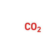 Icon Co2